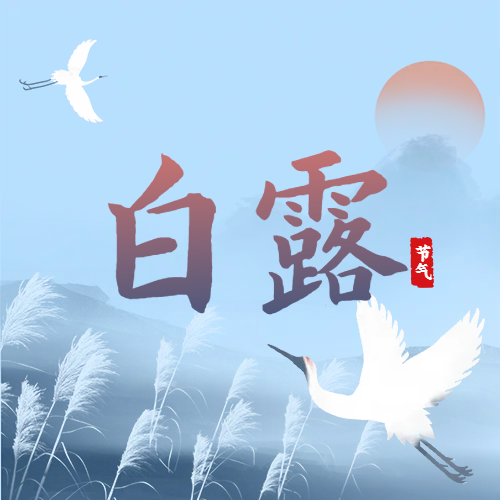 白露 | 蒹葭蒼蒼，白露為霜